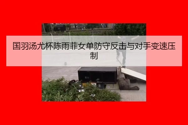 guo-yu-tang-you-bei-chen-yu-fei-nv-dan-fang-shou-fan-ji-yu-dui-shou-bian-su-ya-zhi-2-339.jpg