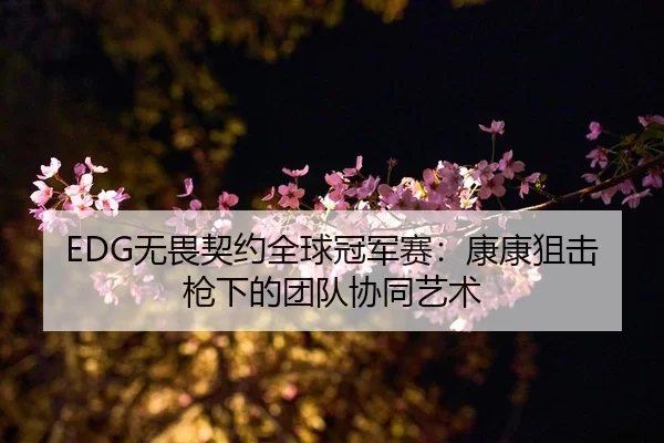 EDG无畏契约全球冠军赛：康康狙击枪下的团队协同艺术