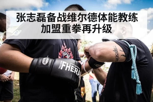 张志磊备战维尔德体能教练加盟重拳再升级