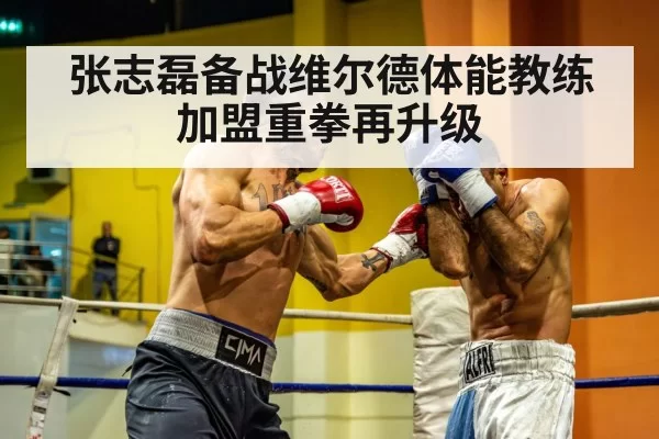 heavyweight boxing punch
